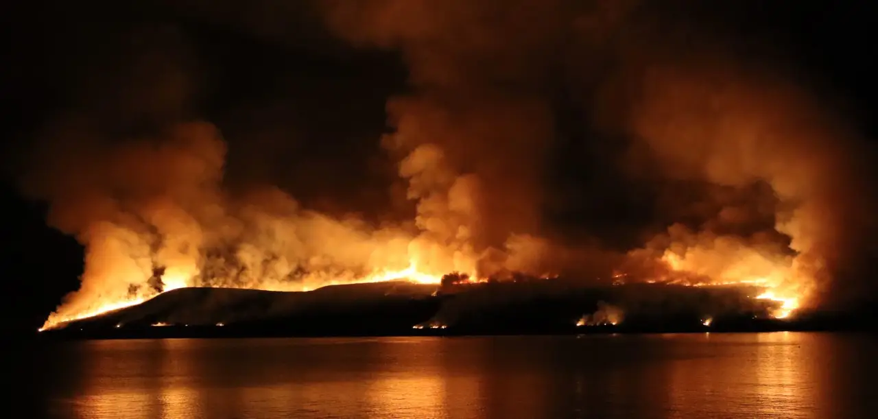 The island was declared free of Anthrax in 1990.