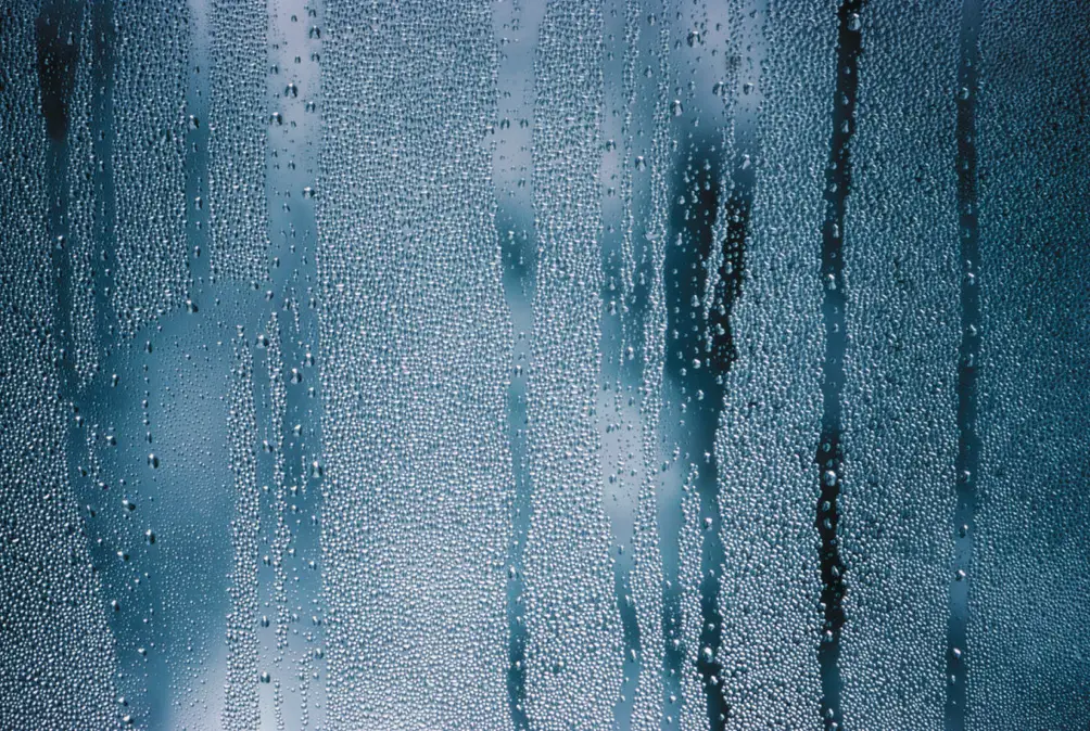 We are all too familiar with the smell after rainfall.