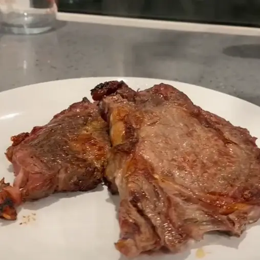 Many were critical of the idea of cooking steak in the toaster.