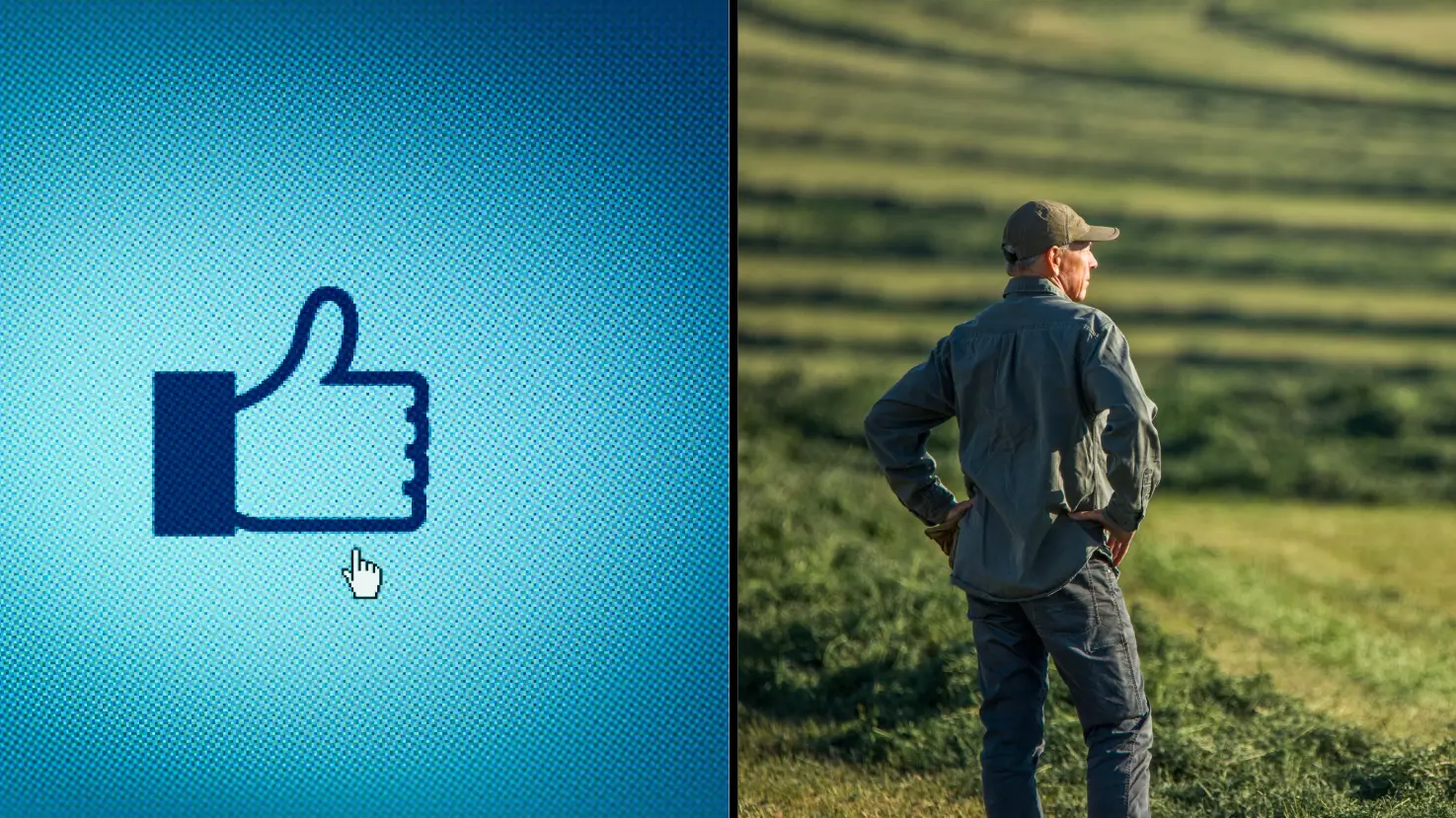 Farmer owes $122,000 after judge rules that thumbs up emoji is legally binding