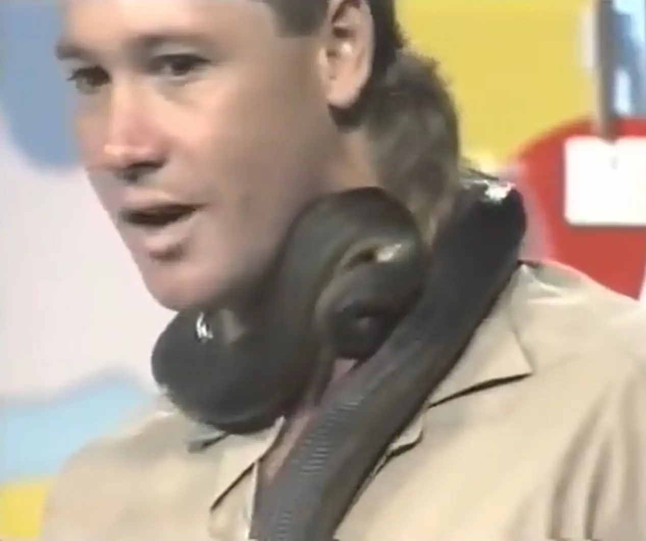 The snake bit him just as Steve Irwin was explaining that it wouldn't bite him.