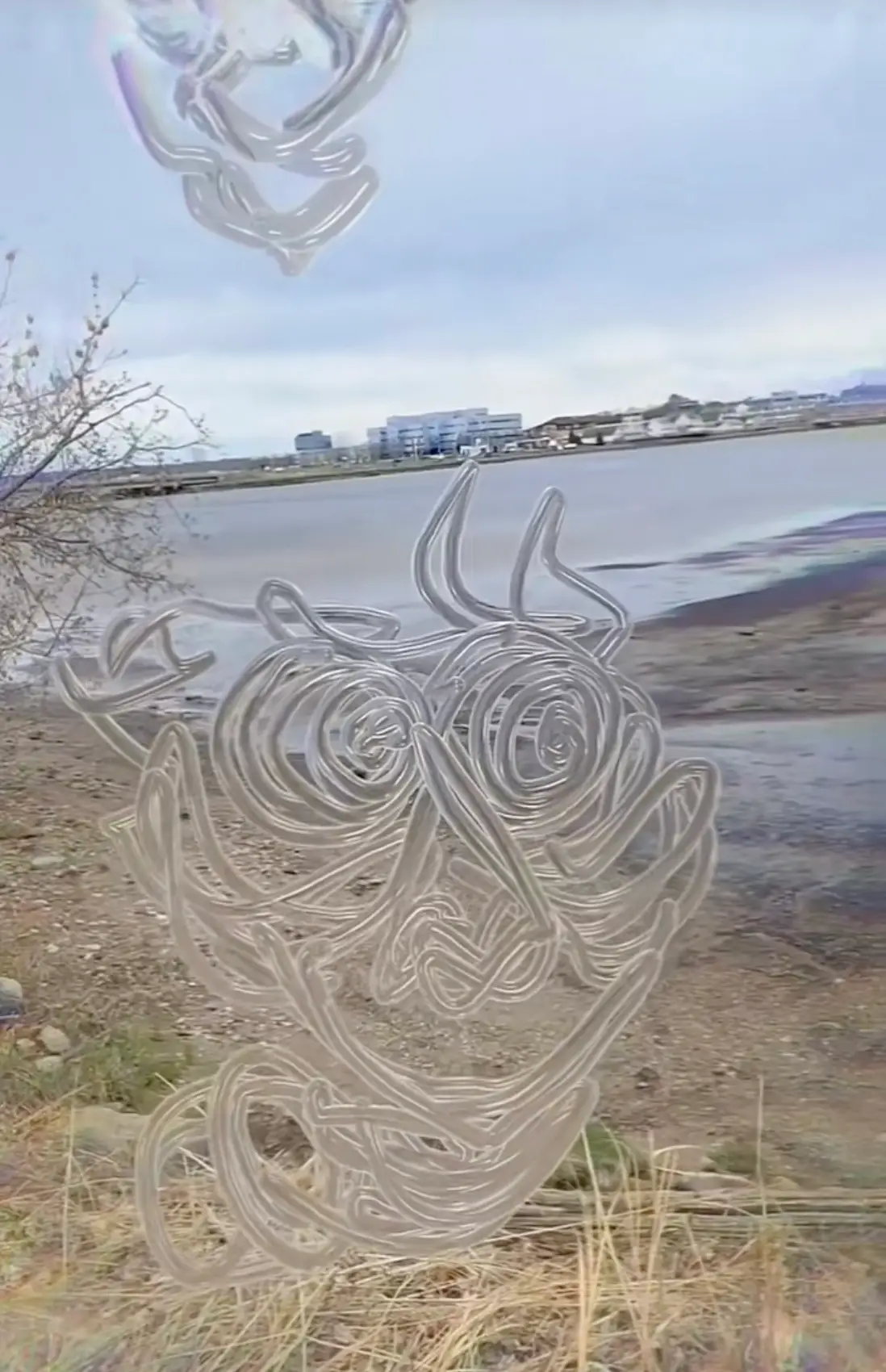 The 'schizophrenia simulation' video went viral on social media (TikTok/@xoradmagical)