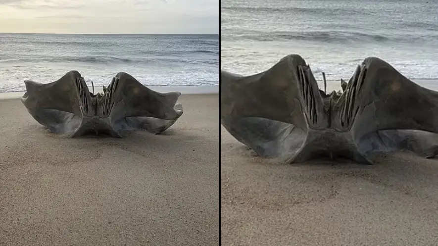 National Park Service