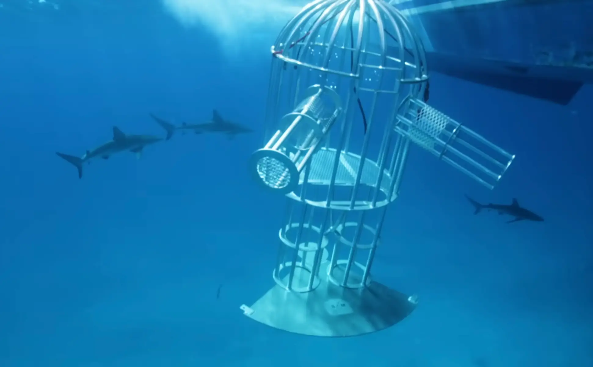 Rober designed the cage. (YouTube/Mark Rober)