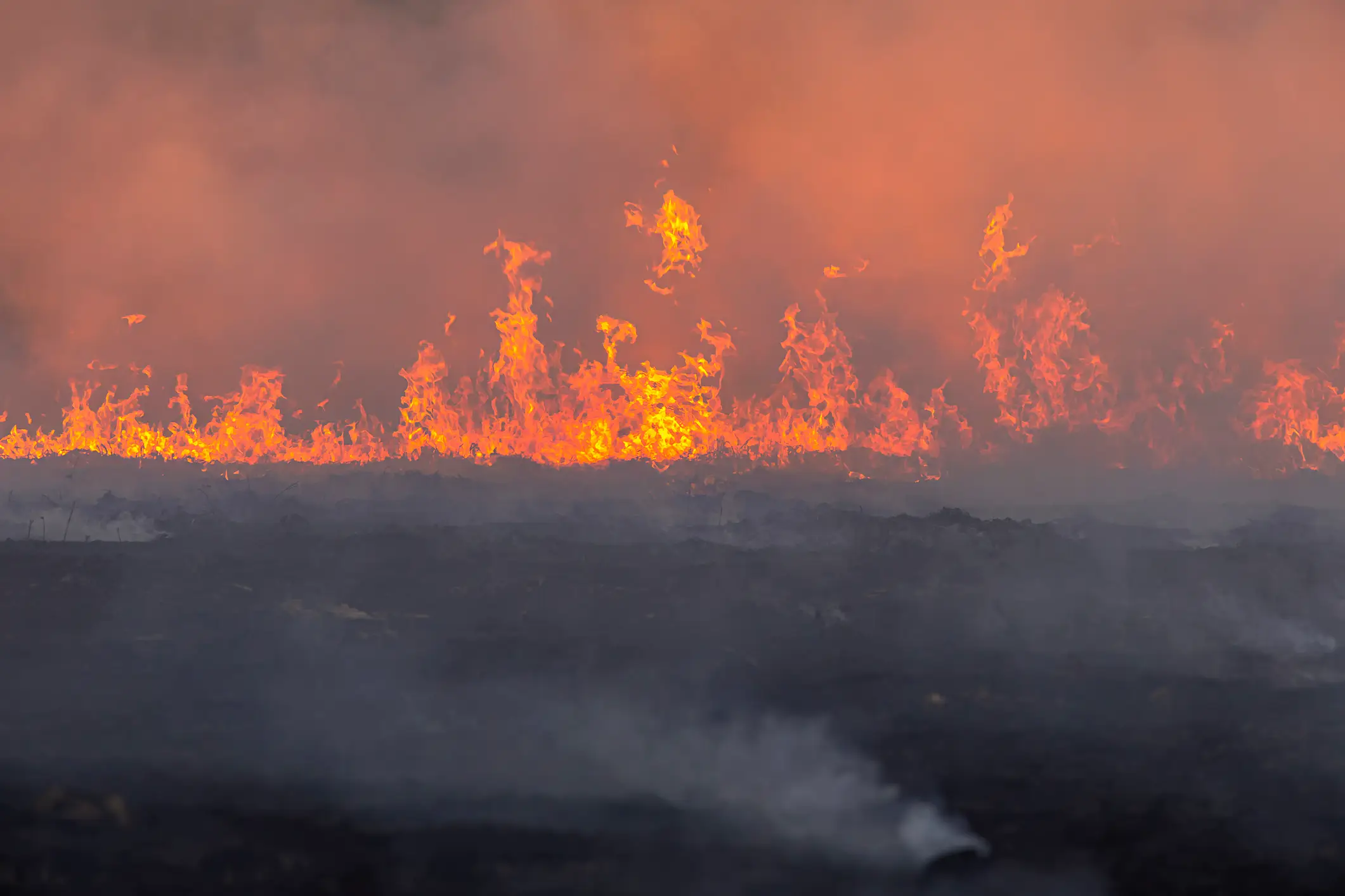 The rise in temperatures will also cause more wildfires (Getty)