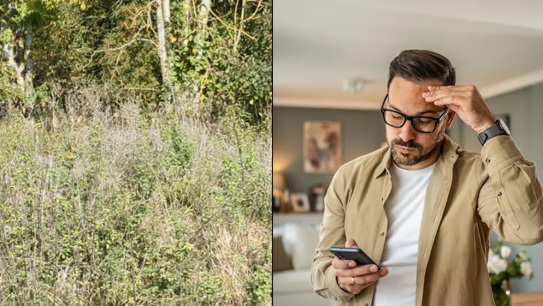 Reddit/Getty Stock Image