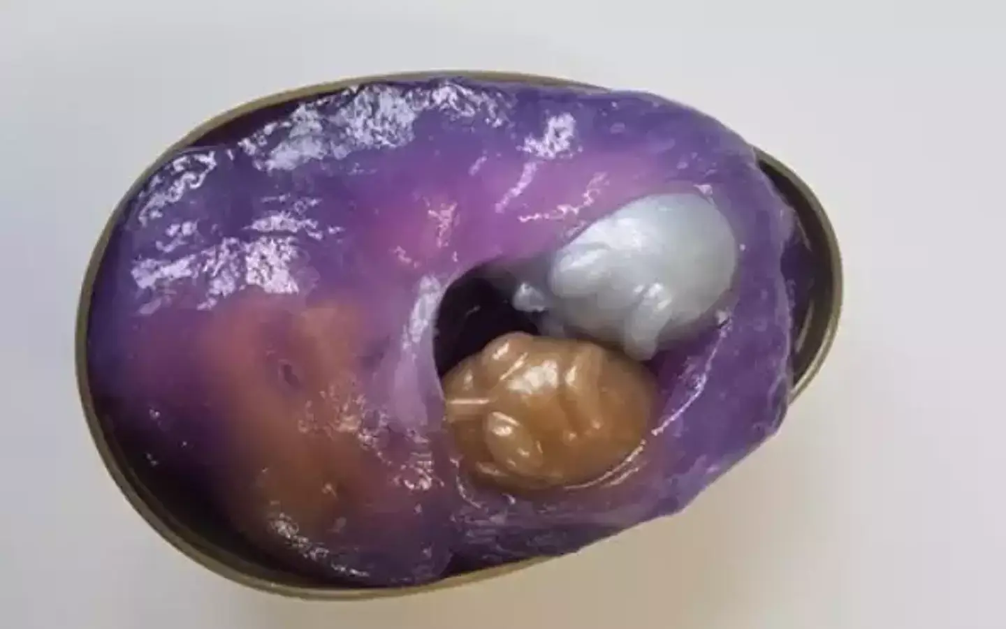 Who had one of these in primary school? (LADBible)