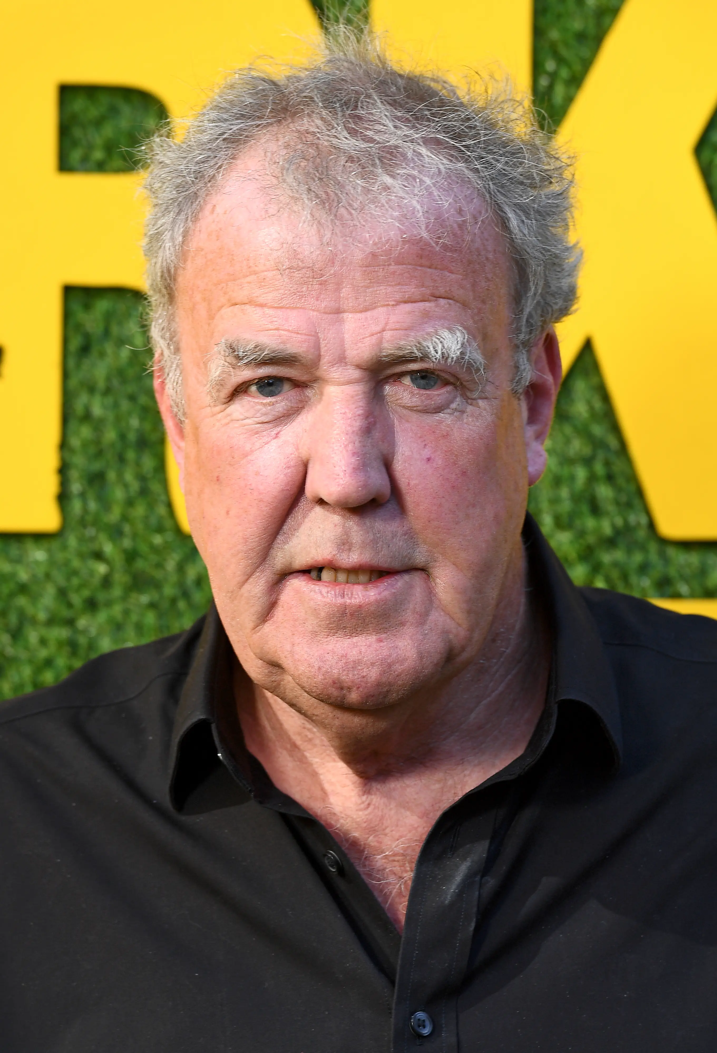 Jeremy Clarkson provided a voice in the 2006 film Cars.