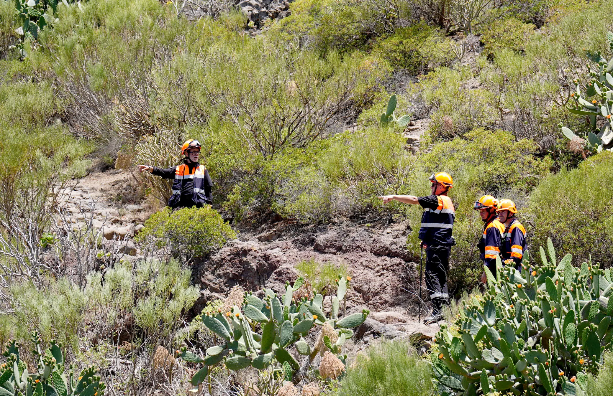 Police and search teams have been focusing on a ravine (PA)