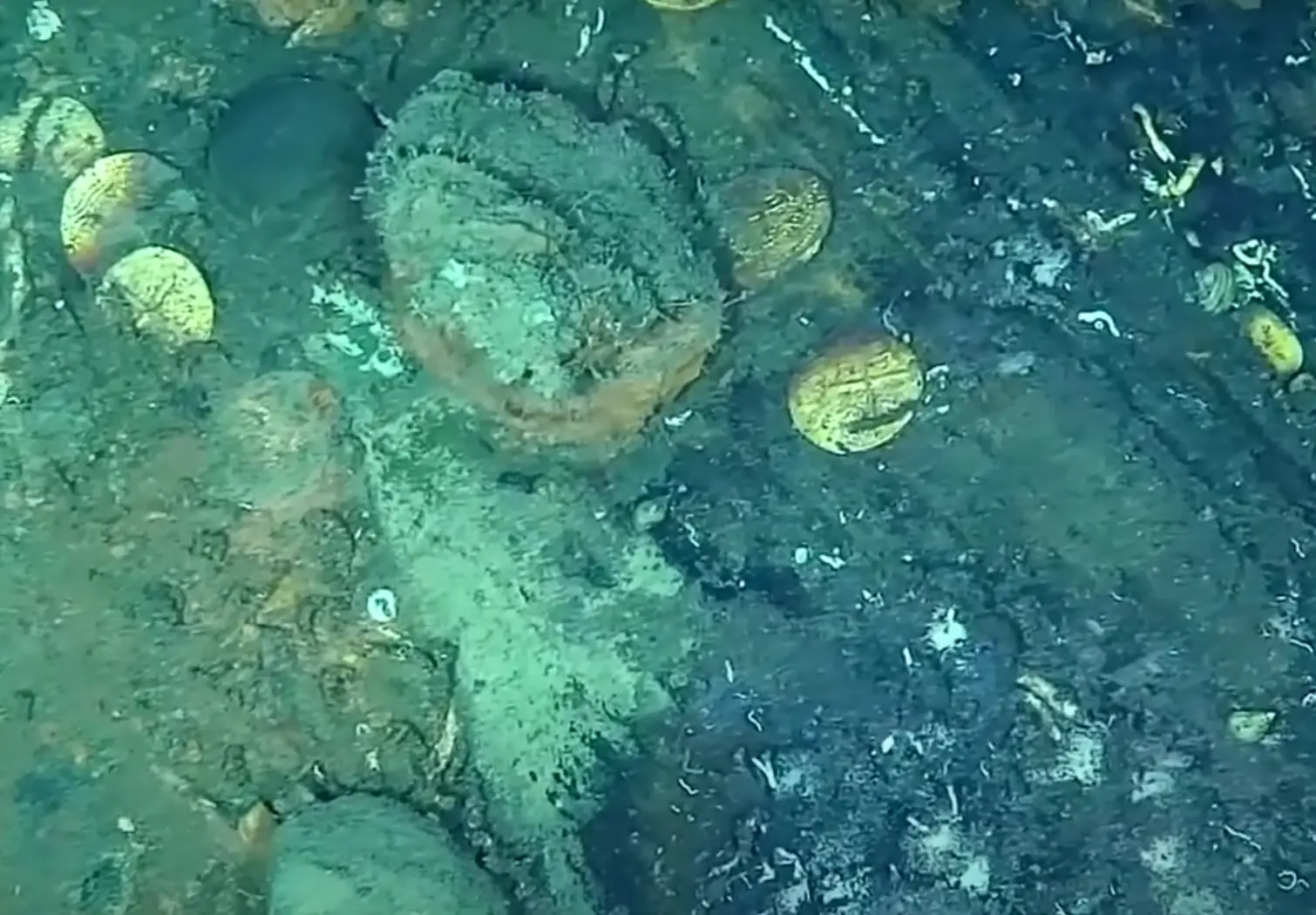 Surveys of the wreckage have found remnants of the treasure (Youtube/DimarColombia)