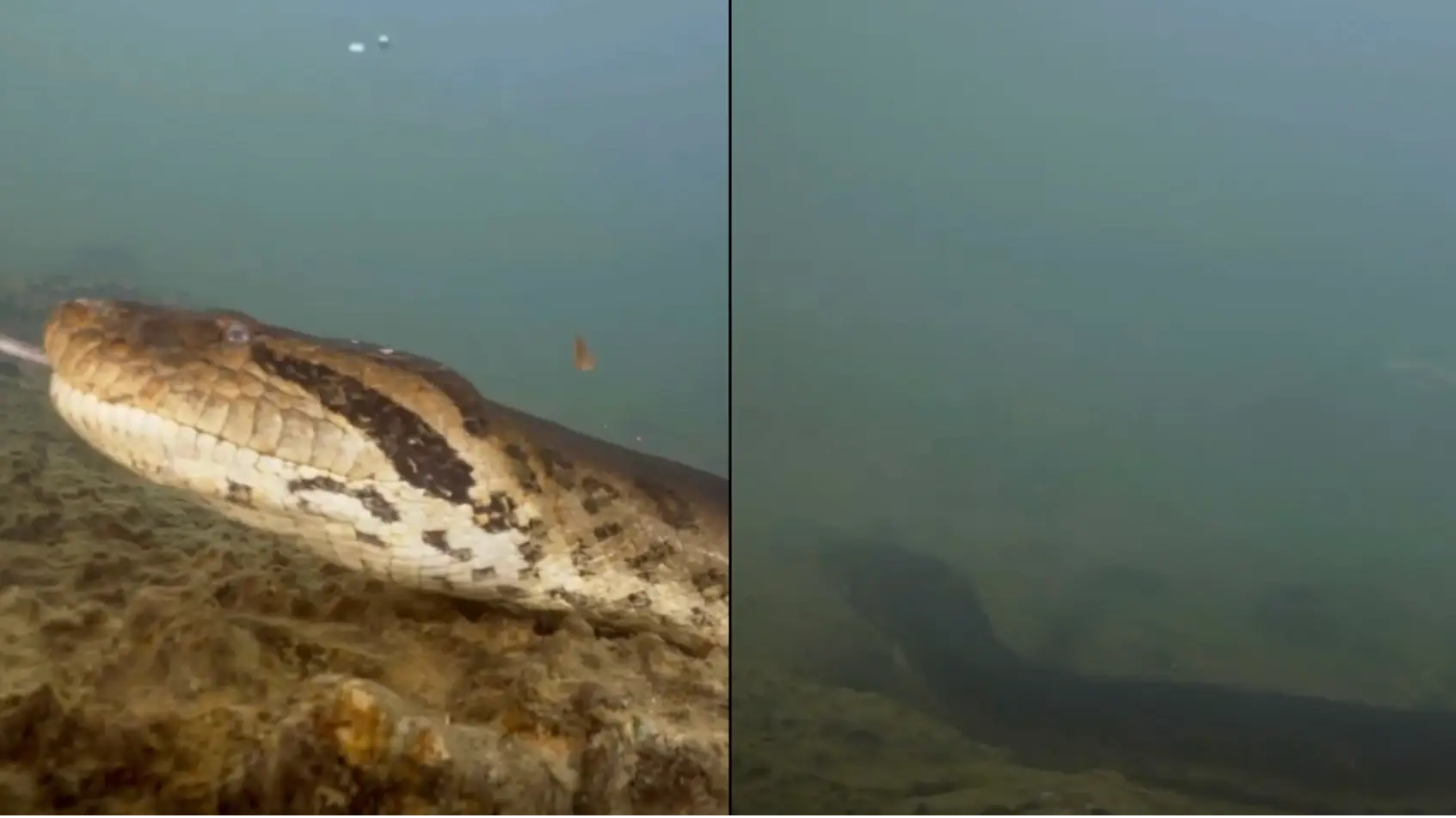 Jam Press/Instagram/@freekvonk