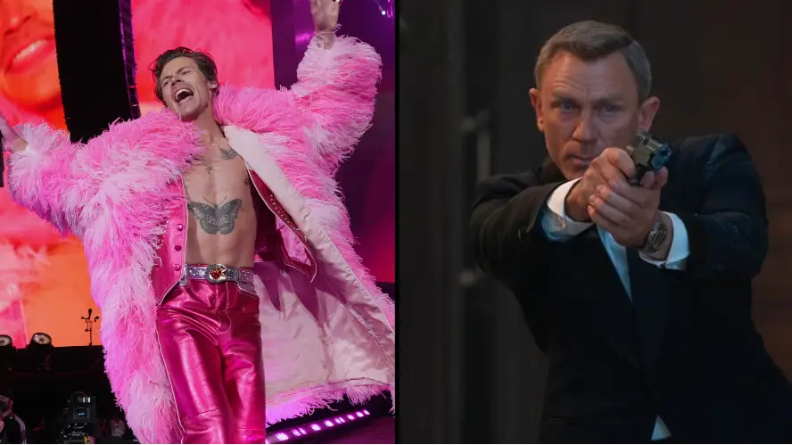 Kevin Mazur/Getty Images for Harry Styles. MGM 