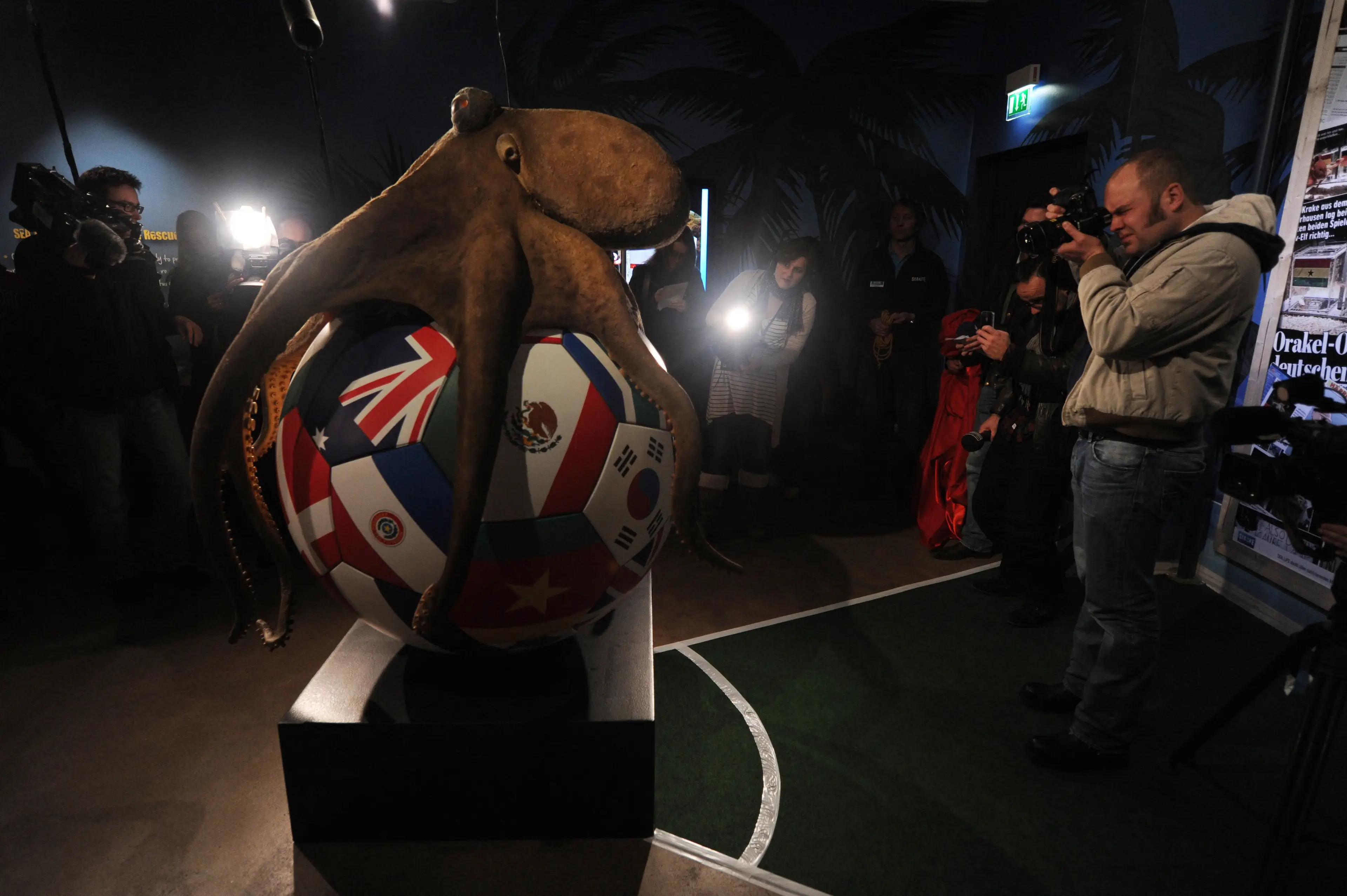 A memorial for Paul the Octopus in Germany. (PATRIK STOLLARZ / AFP via Getty Images)