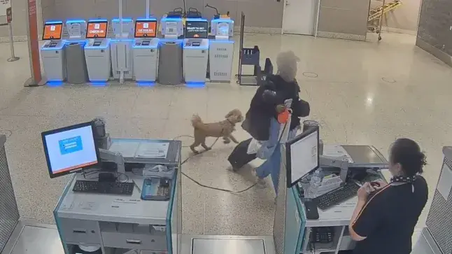 The pup was abandoned at the airport (LVMPD)