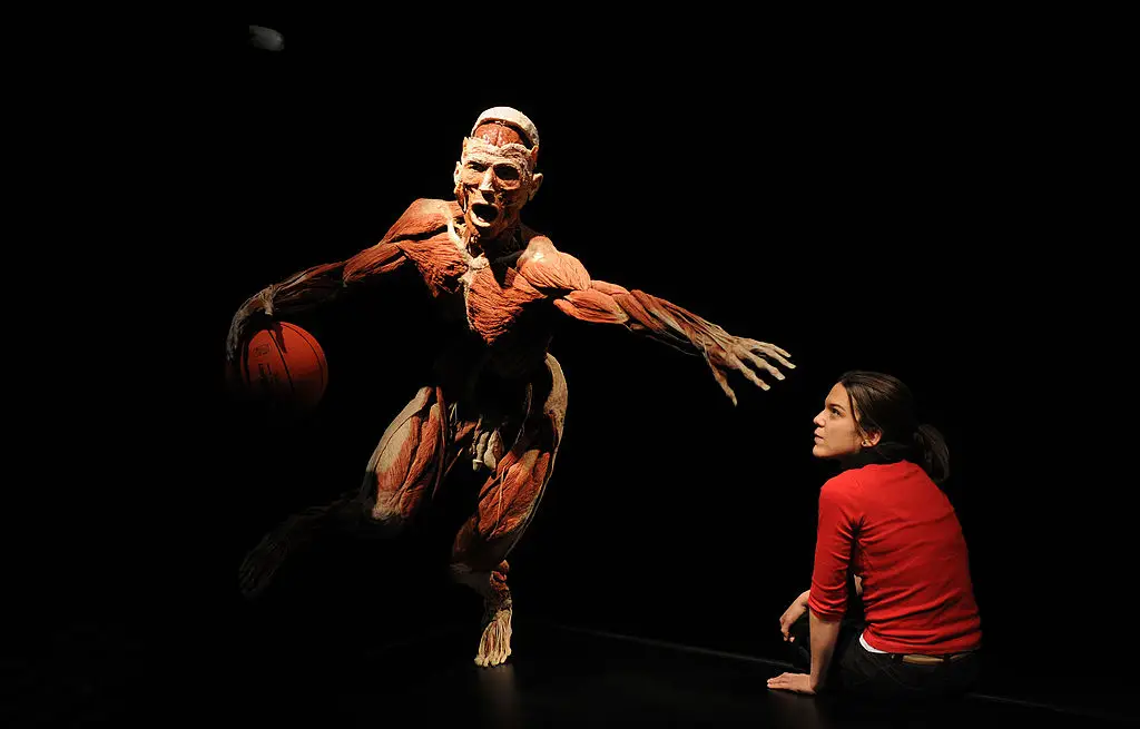 As well as bodies in sports positions (Samir Hussein/Getty Images)