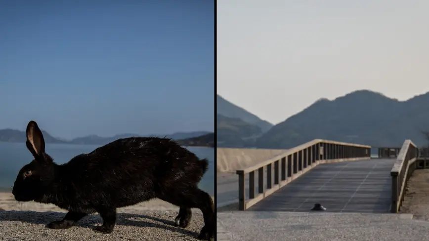 Chris McGrath/Getty Images