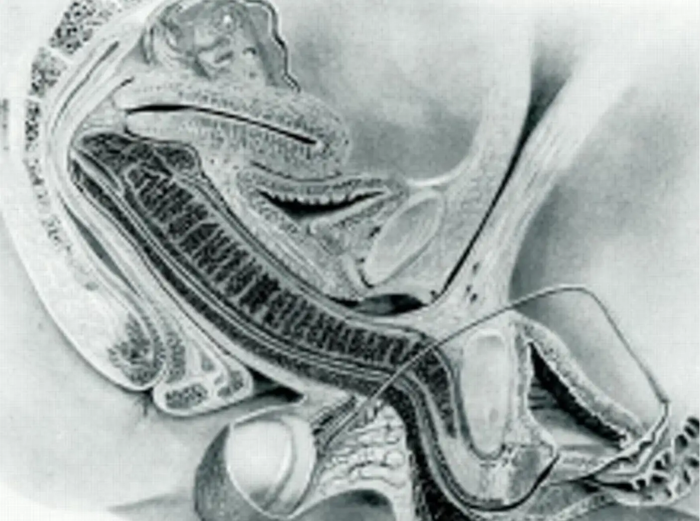 It led to a significant discovery (BMJ)