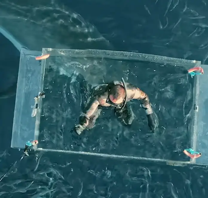 Footage has left viewers horrified after it shows a terrifying encounter between a diver and a Great White.