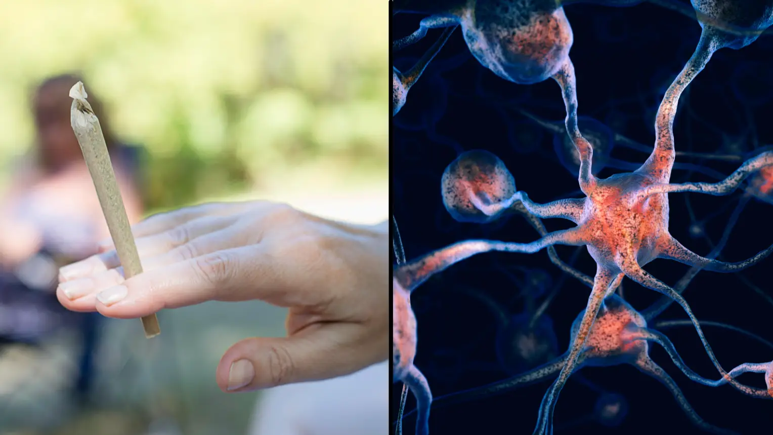 Beth Dixson / Alamy Stock Photo. maximimages.com / Alamy Stock Photp