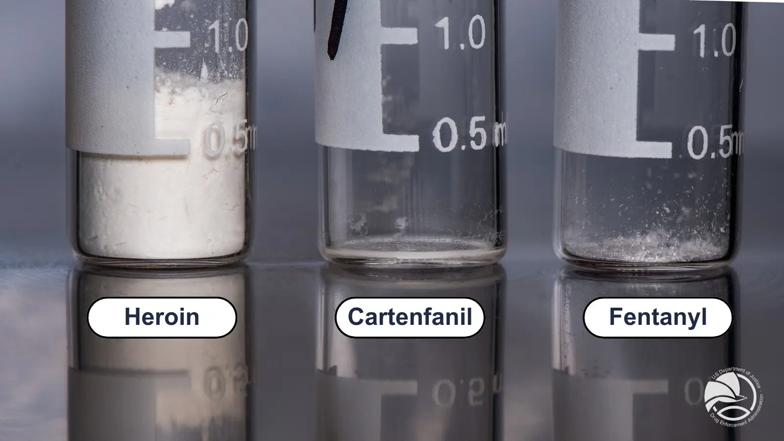 He said seeing a picture of how small the lethal dose of fentanyl was put him off ever taking it (DEA)