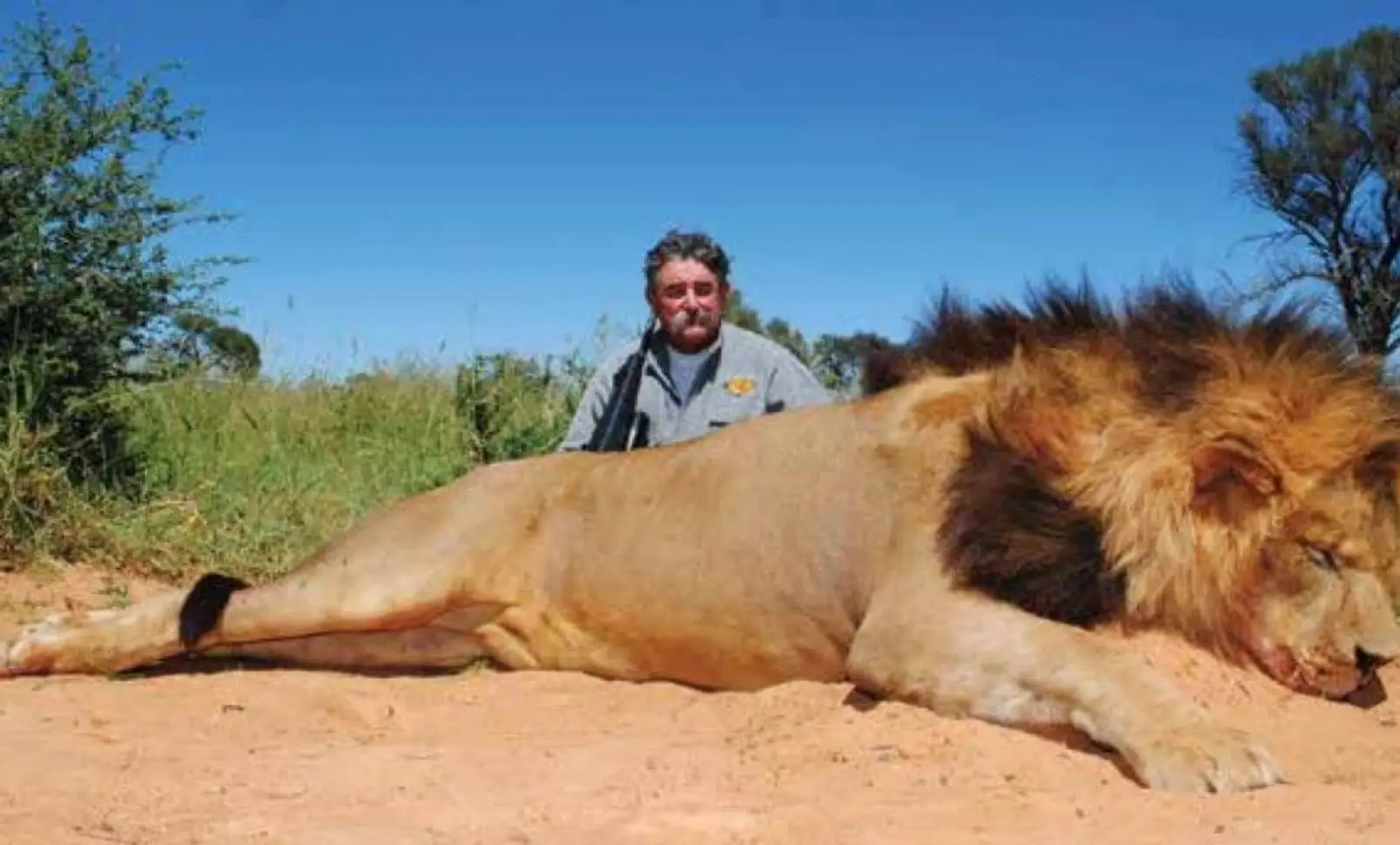 He was brutally trampled on by five elephants (Bobby Hansen Safaris)