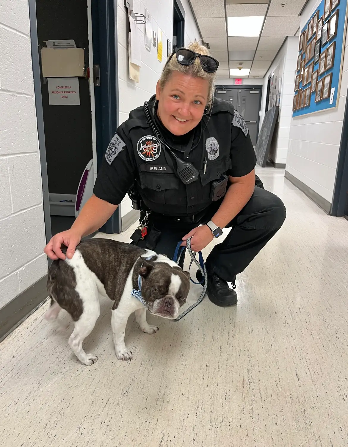 The dog was found unattended in a stroller at Pittsburgh International Airport.