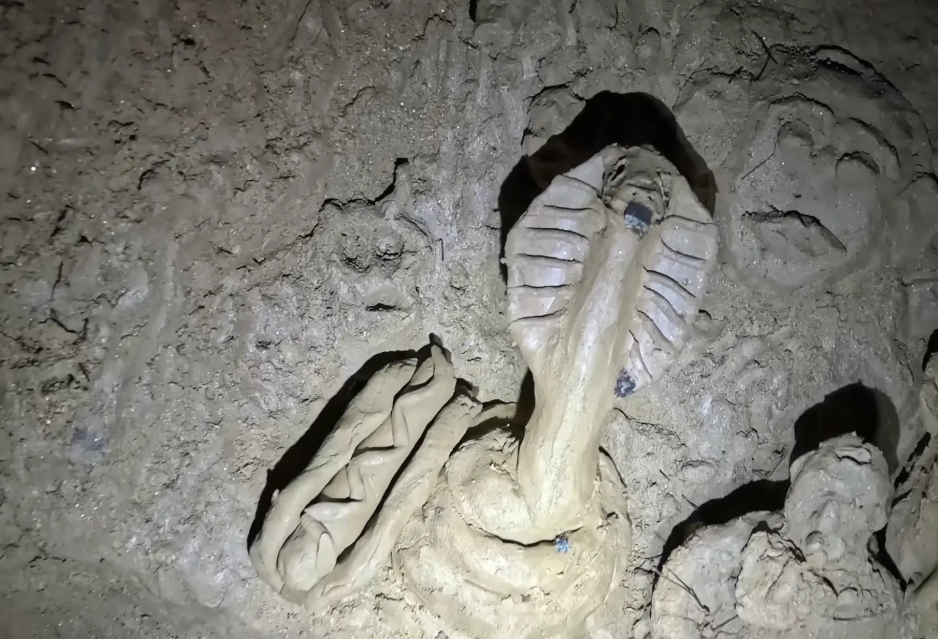 The hot dog was a lovely addition to the artwork (Youtube/ActionAdventureTwins)