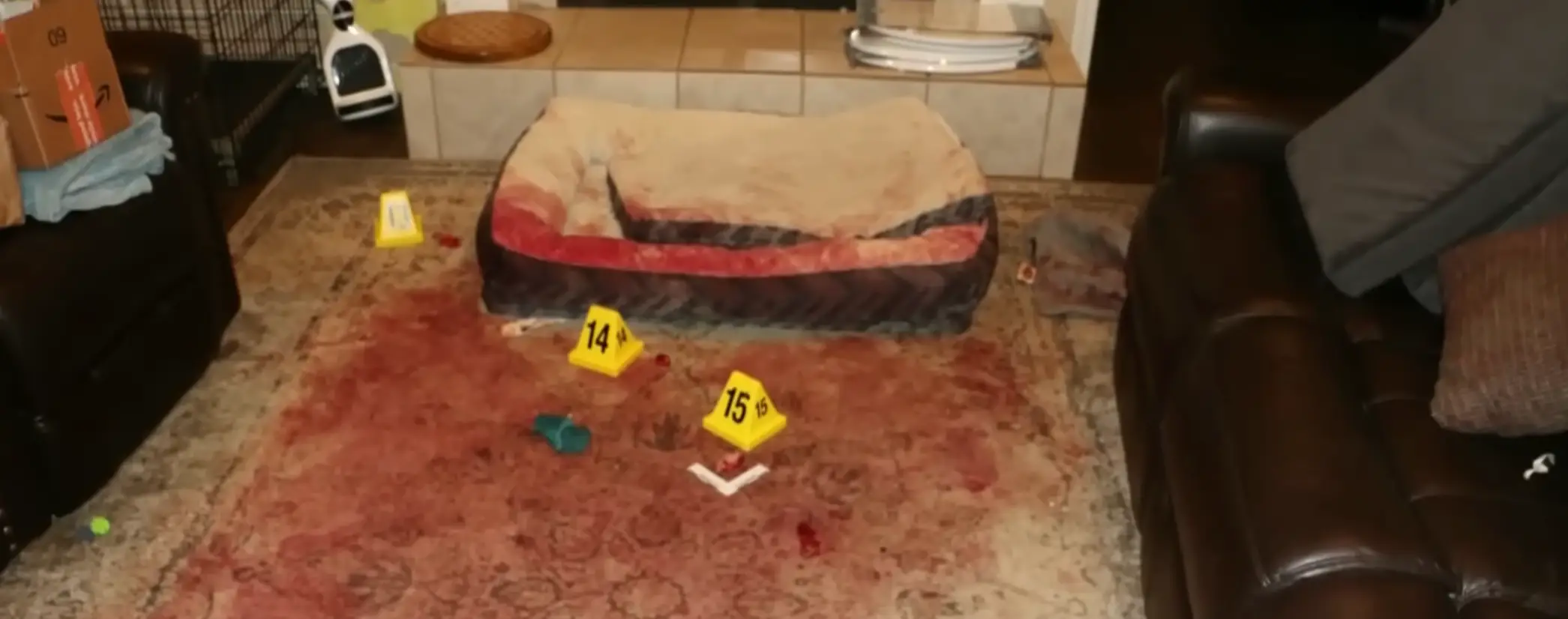 The scene after Jacqueline was rescued (YouTube / CBS Mornings)