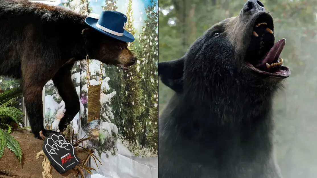 Washington Post via Getty Images / Universal Pictures