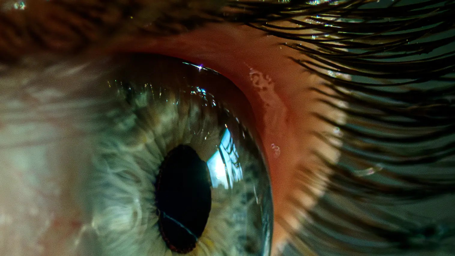 Getty/George Pachantouris