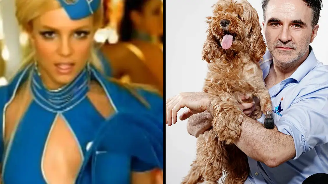 Fans bemused after finding out Britney's Toxic was written about Supervet Noel Fitzpatrick