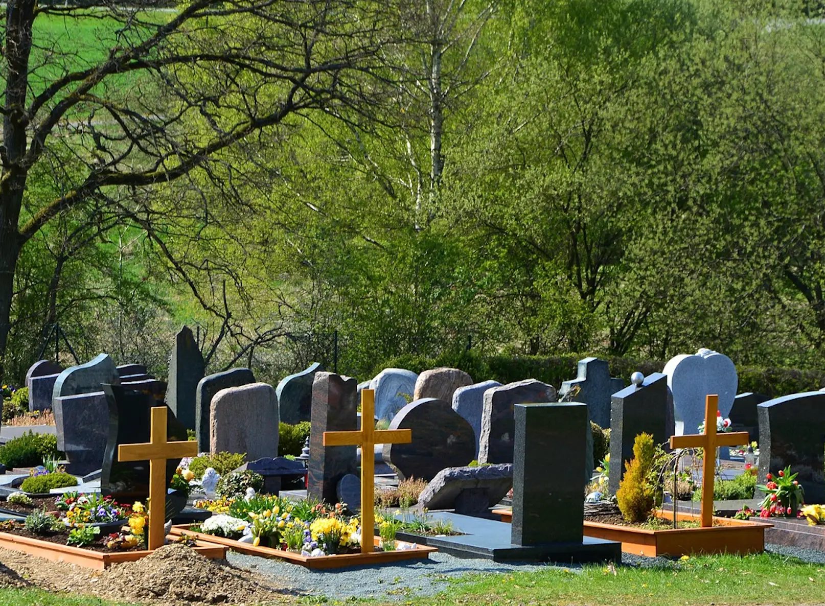 The technician pointed out there are many different ways you can die.