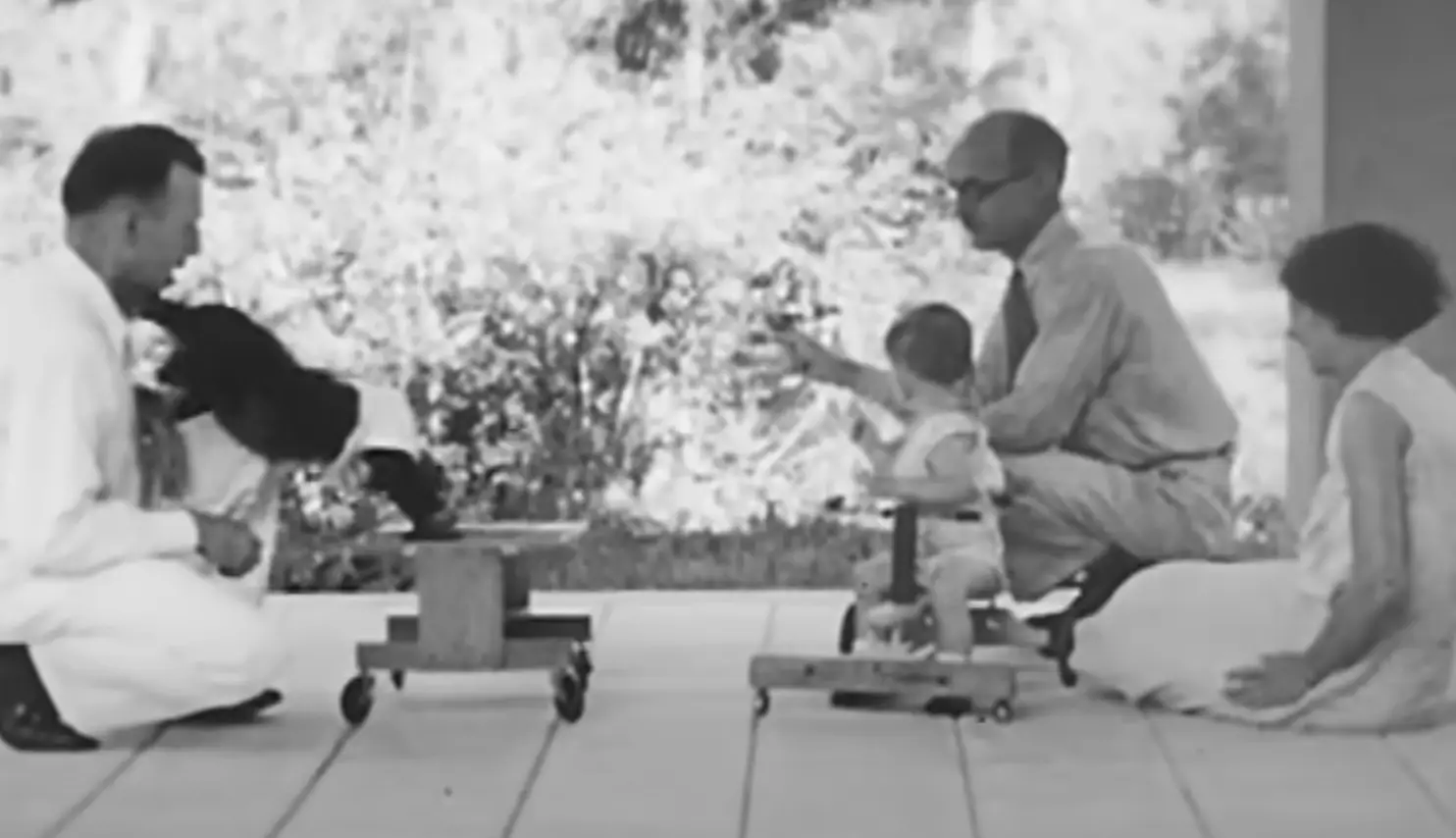 While Donald was startled, he was more curious than his chimp sister (YouTube/A/V Geeks 16mm Films)