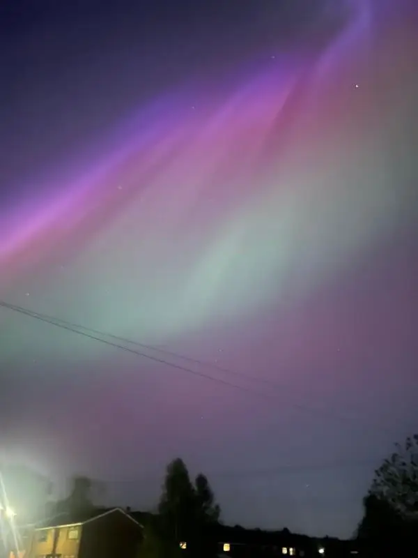 Did you manage to see them? (Supplied)