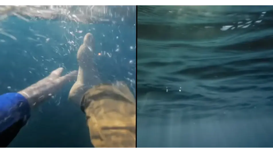 @hegeakajesus/YouTube