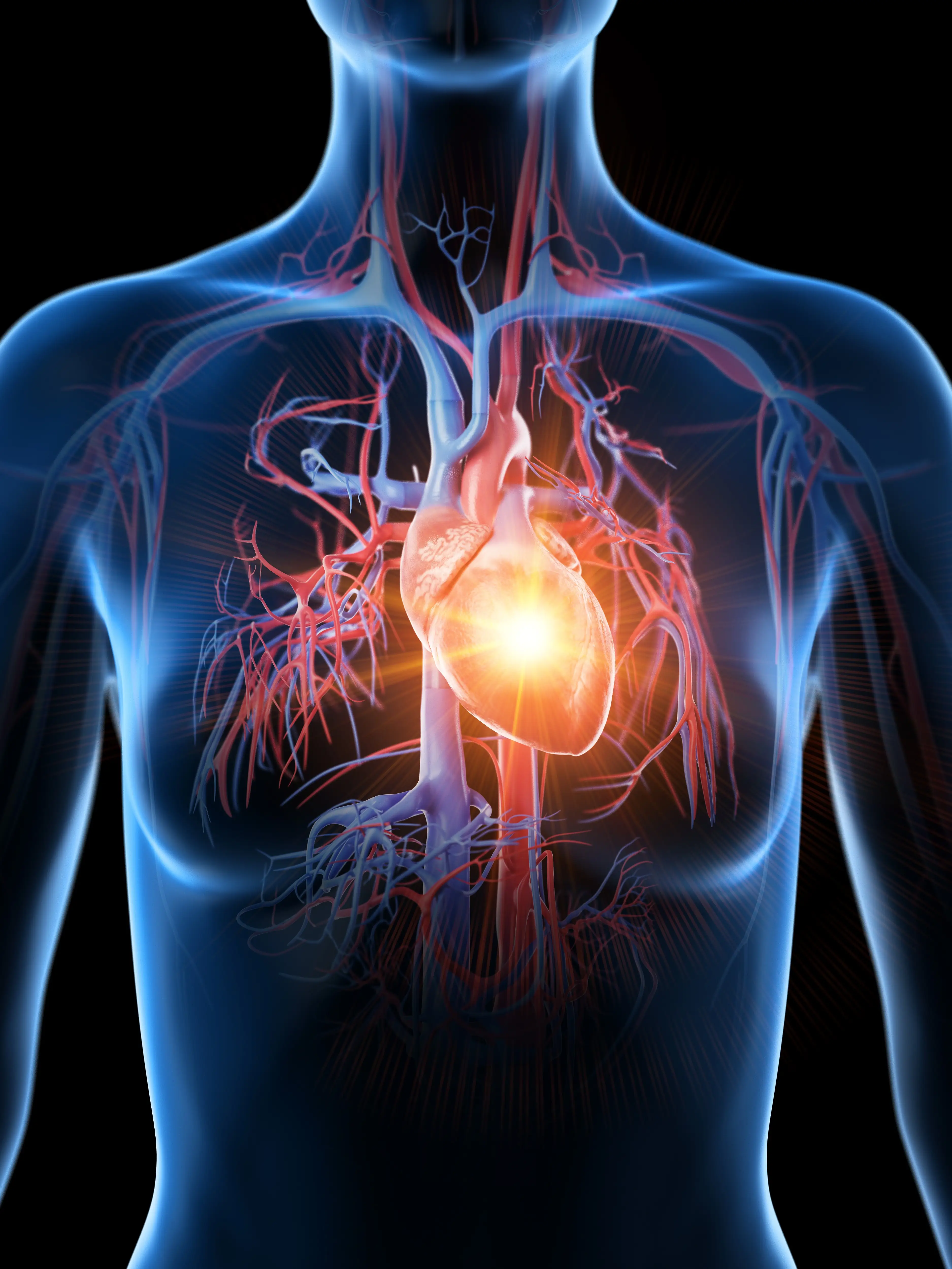 Her heart sustained some damage during her pregnancy, too (Getty Stock Image)