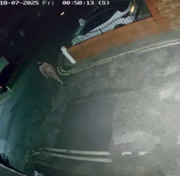 They were spotted in CCTV. (Facebook)