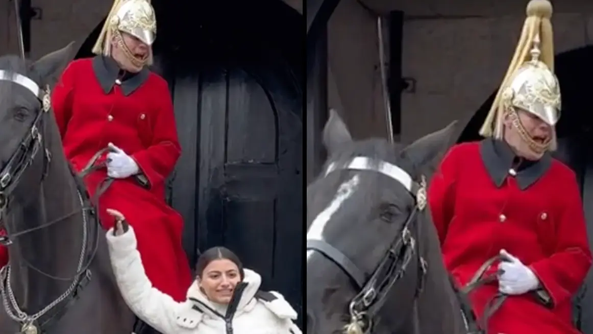 King's Guard repeatedly shouts at tourist who grabs hold of horse's reins