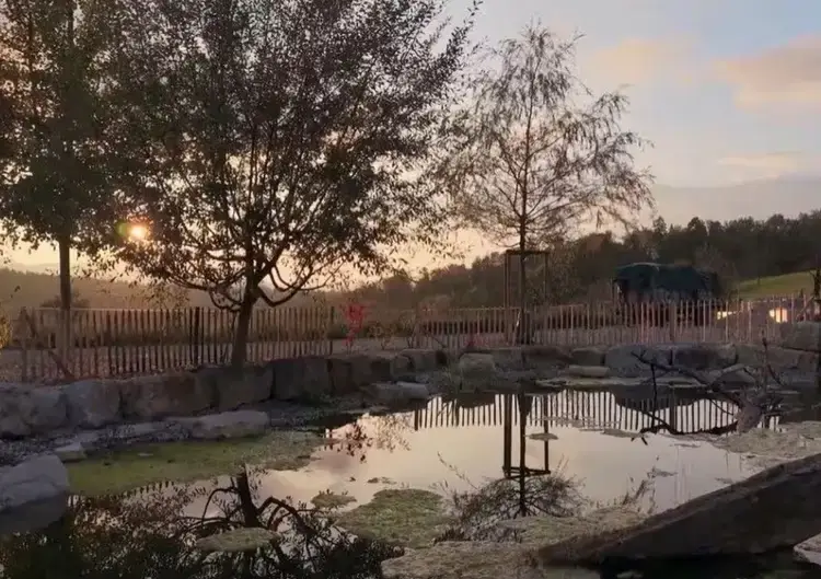 Wendy said 'Onwards and upwards. Ta-ra, Flower' to the journalist who'd told her story, and said she'd packed her things to 'leave it neat' for the staff dealing with her luggage (Pegasos)