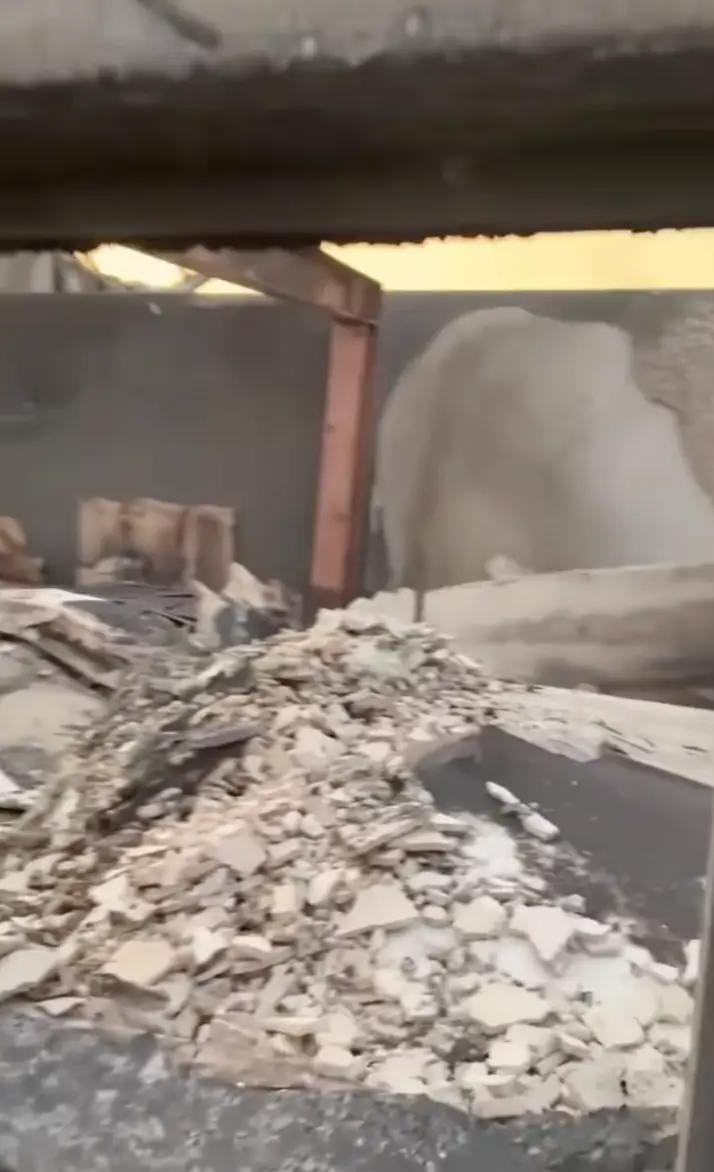 (Instagram/@parishilton)