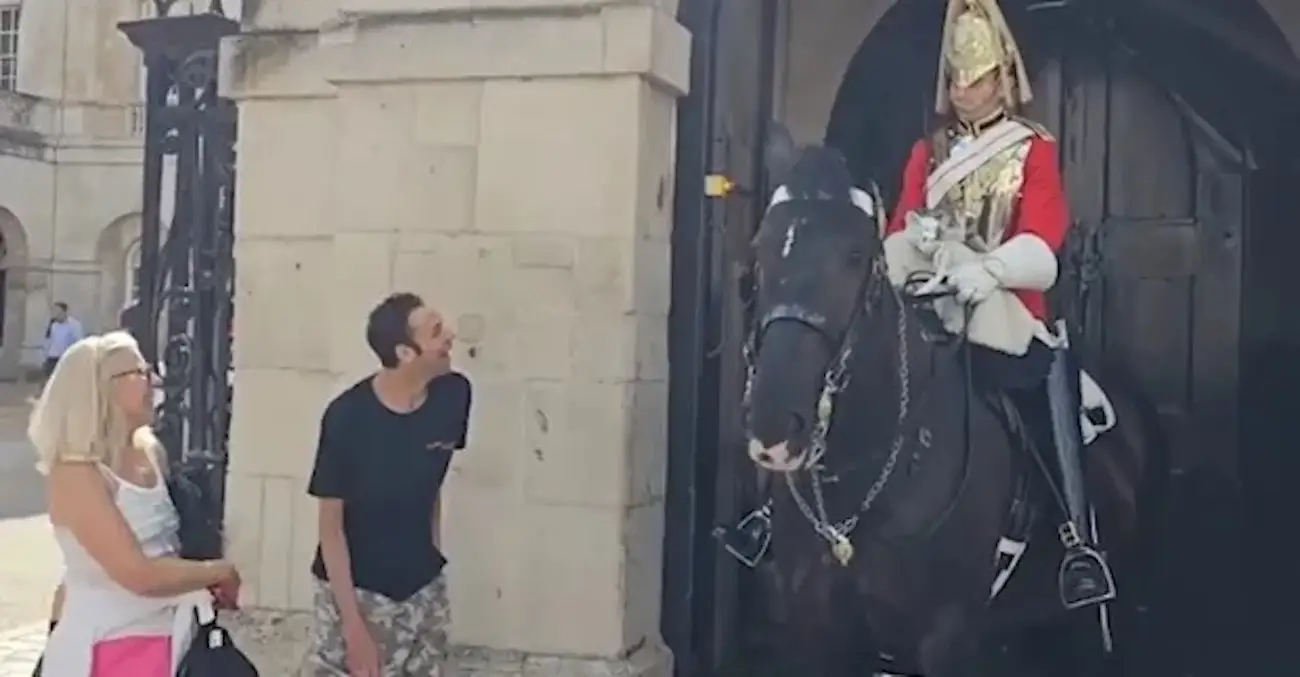 A King's Guard broke royal protocol to allow a man to pet his horse.