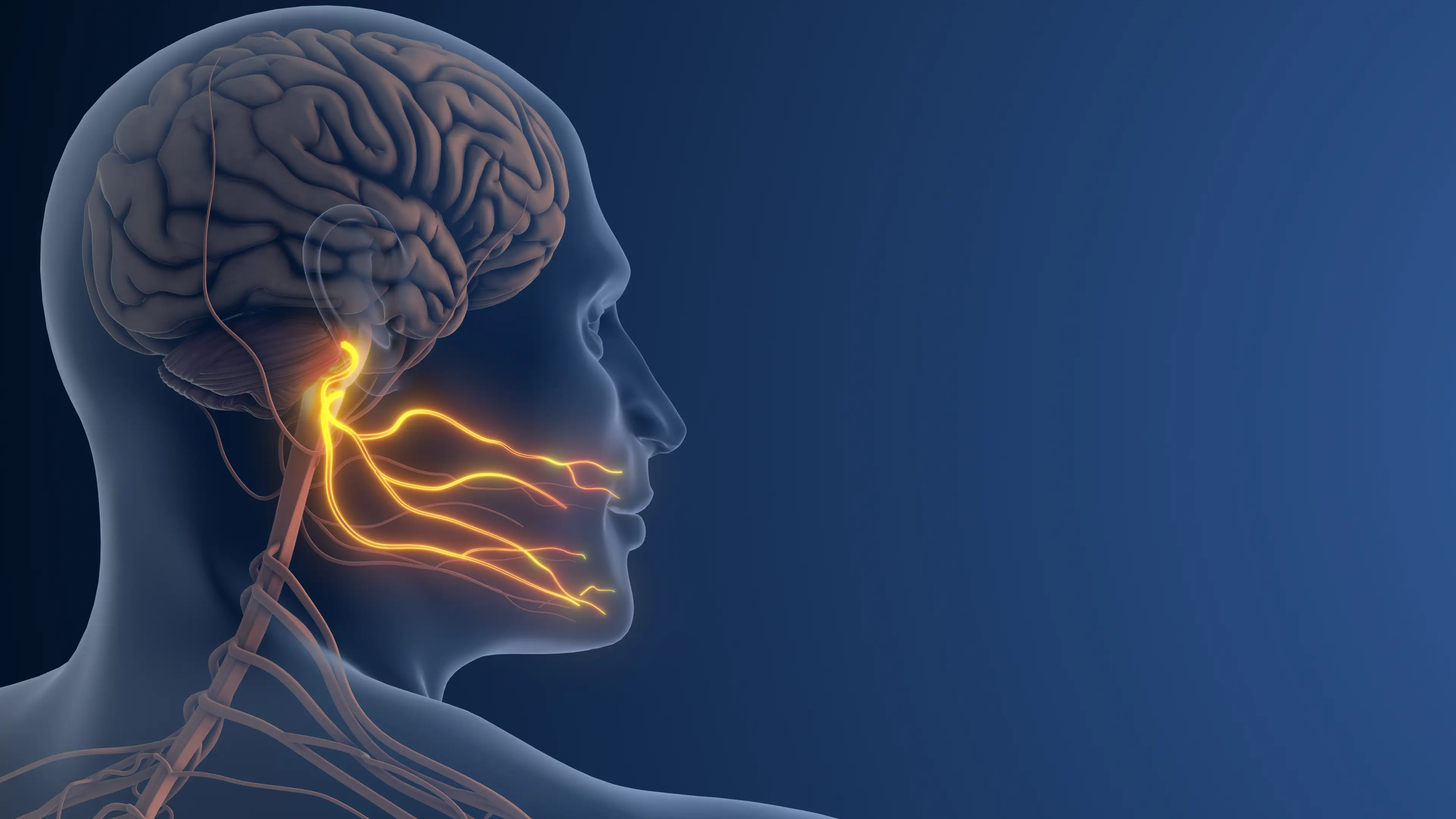 If your facial nerves are compressed by blood vessels, you could be affected (Getty Stock Image)