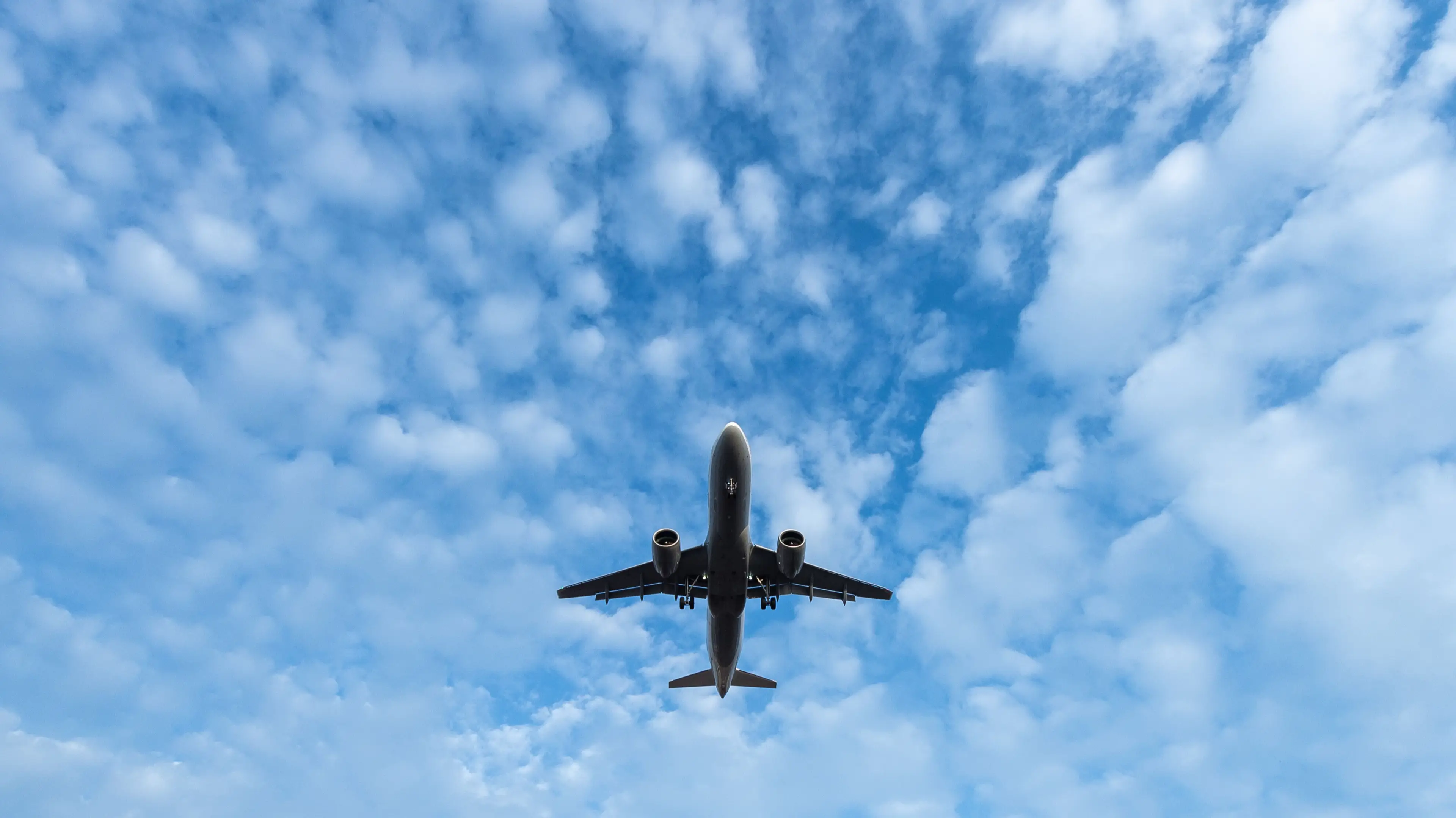 SILAS STEIN/DPA/AFP via Getty Images