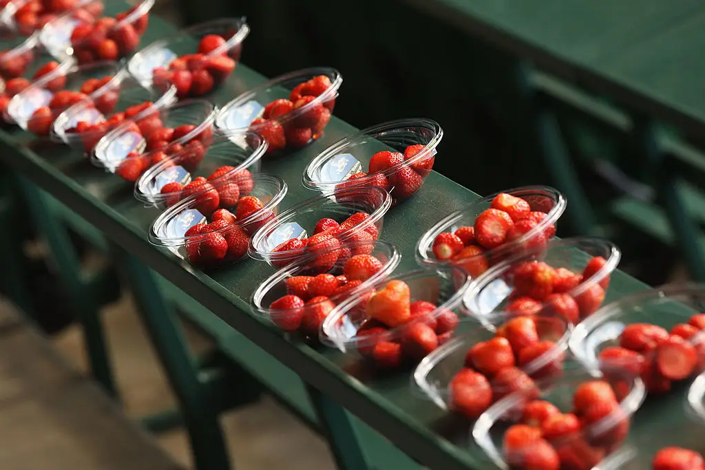 Wimbledon is known for may things, including strawberries and cream, and there are some weird and wonderful rules (Photo by Oli Scarff/Getty Images)