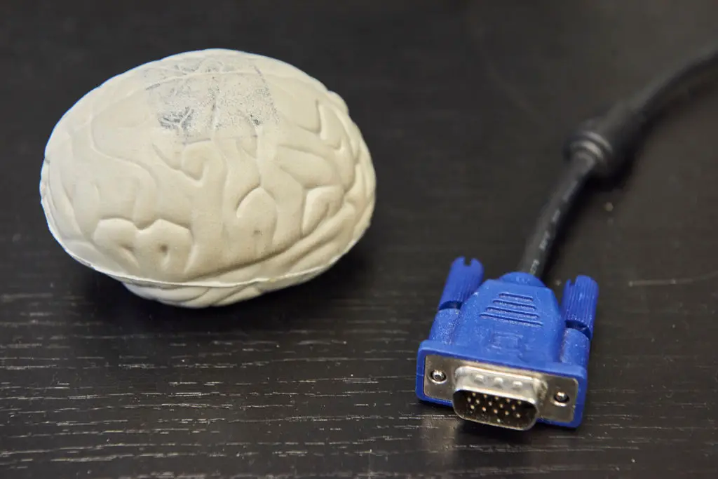 Connect your brain to AI (BSIP / Contributor / Getty)