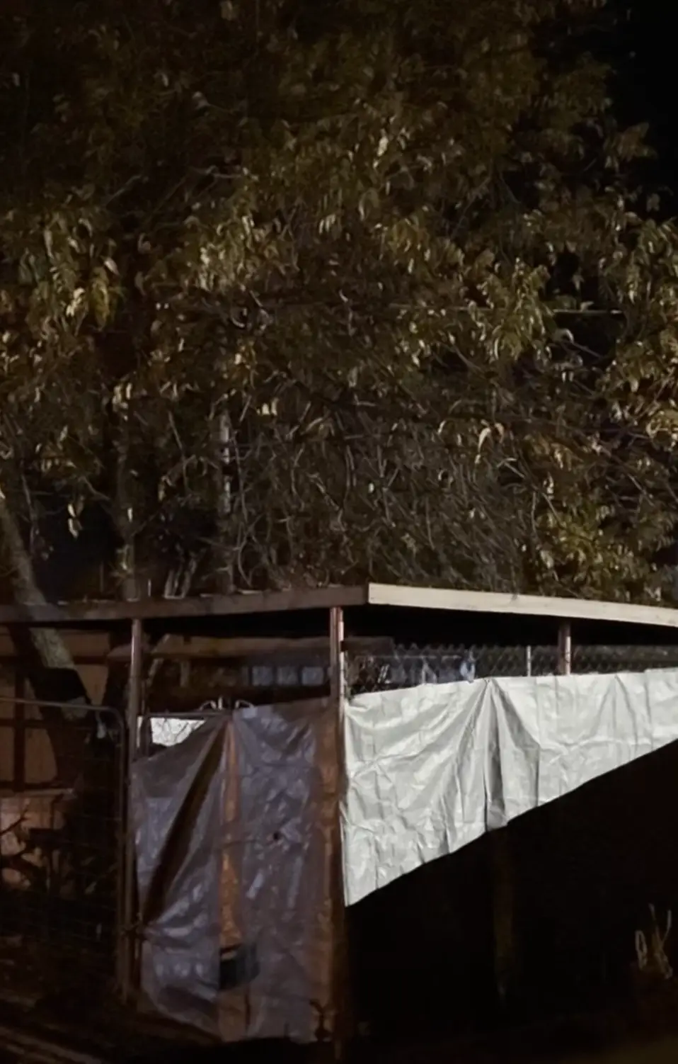 Justin Anderson was horrified when he realised his neighbour was locked in a dog kennel (Justin Anderson/Criminally Obsessed)