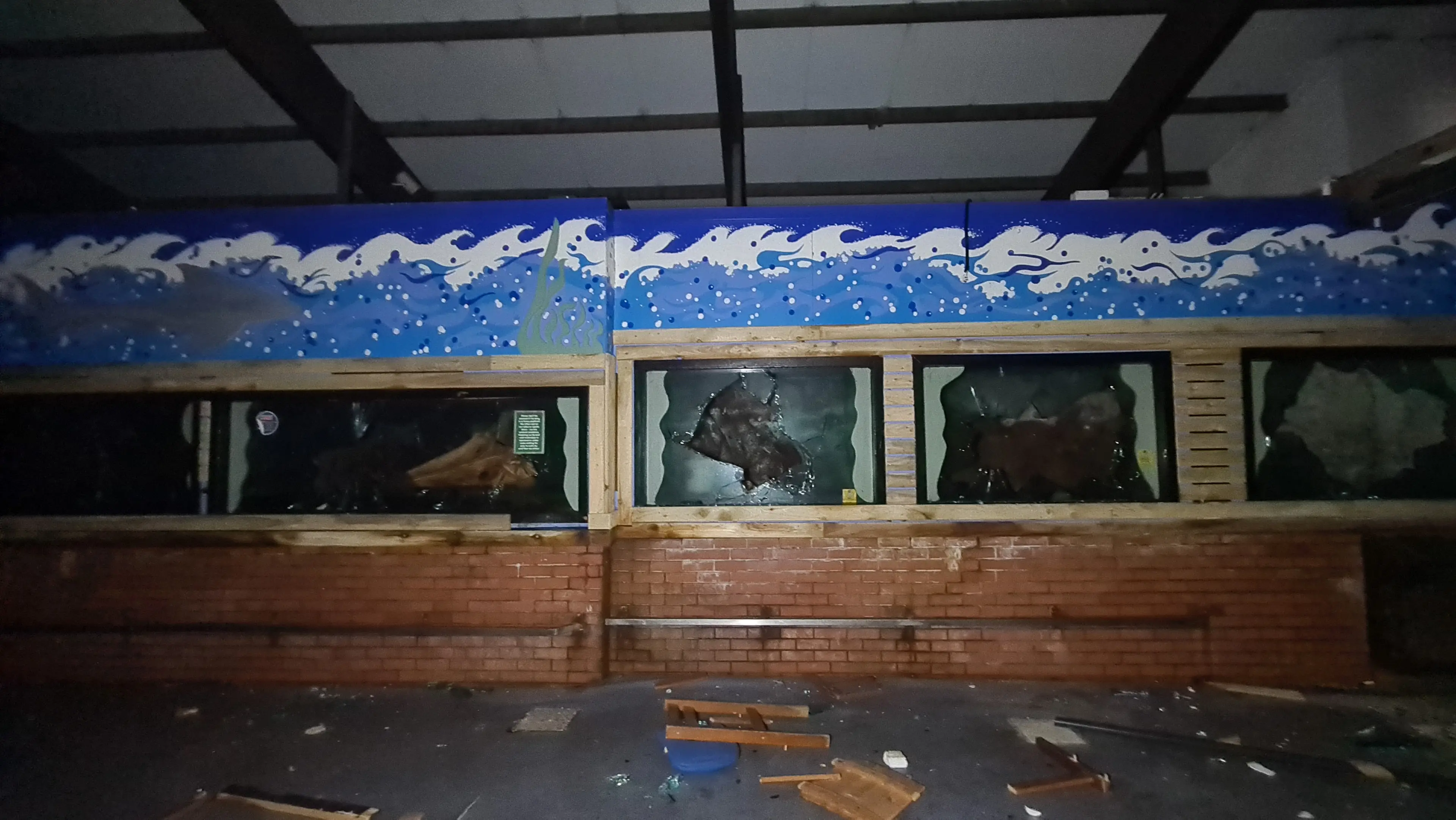 Daniel couldn't believe that someone managed to smash the glass on one of the tanks (SWNS)