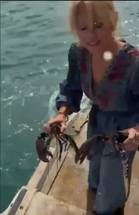 Noel and his wife Liz filmed themselves releasing the lobsters and shared it on Instagram (Instagram/@noeledmonds.world)