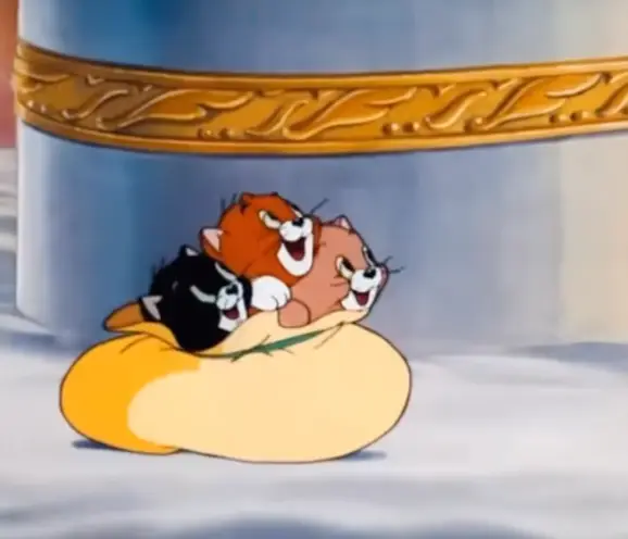 The kittens appeared to have been drowned.