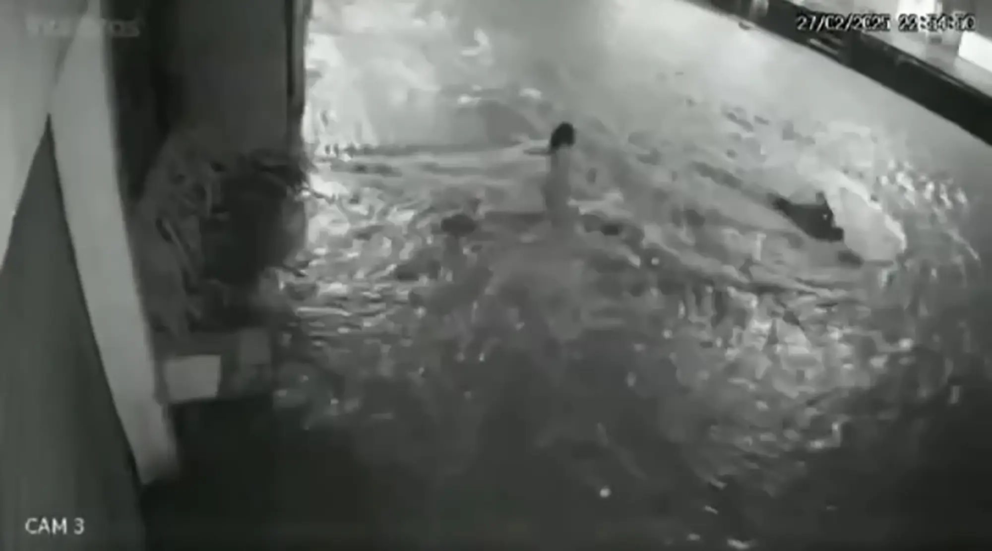 The girl appears to have been sucked into the manhole (Newsflash)